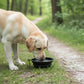 Collapsible Travel Dog Water Bowl with Carabiner Clip Non-Slip Base