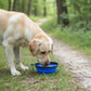Collapsible Travel Dog Water Bowl with Carabiner Clip Non-Slip Base