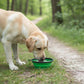 Collapsible Travel Dog Water Bowl with Carabiner Clip Non-Slip Base