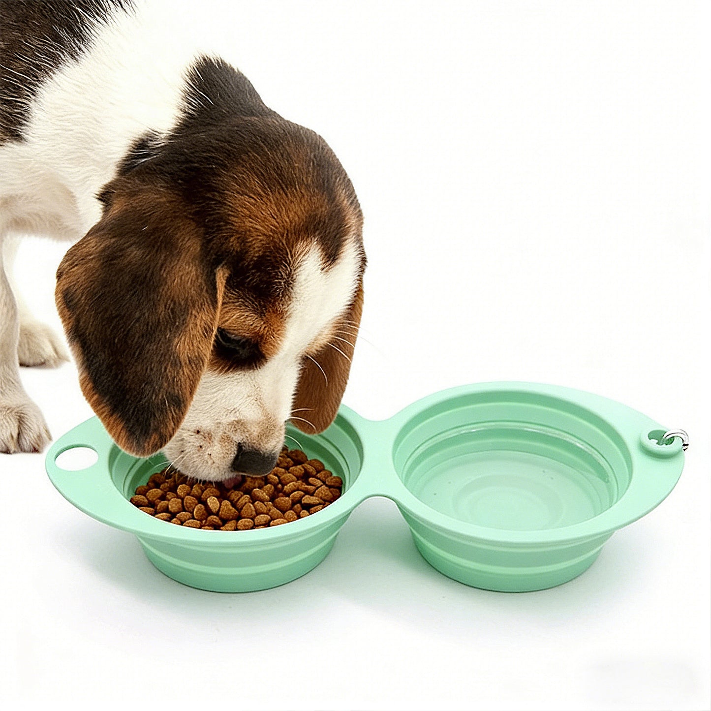 Collapsible Silicone Double Pet Bowl with Clip, Lightweight Travel Food and Water Feeder