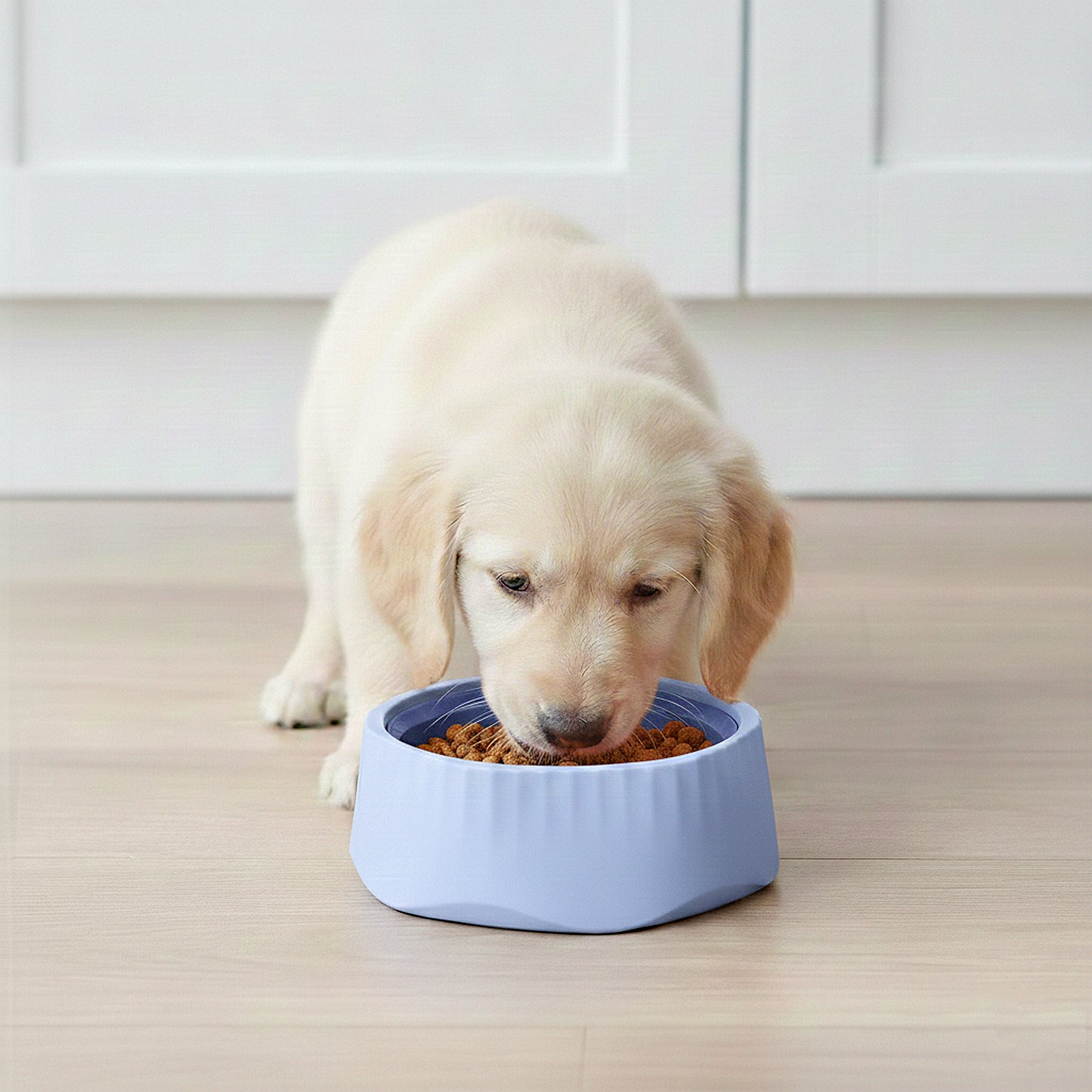 Pet Slow Feeder Bowl with Removable Insert, Non-Slip Base, Convertible Design