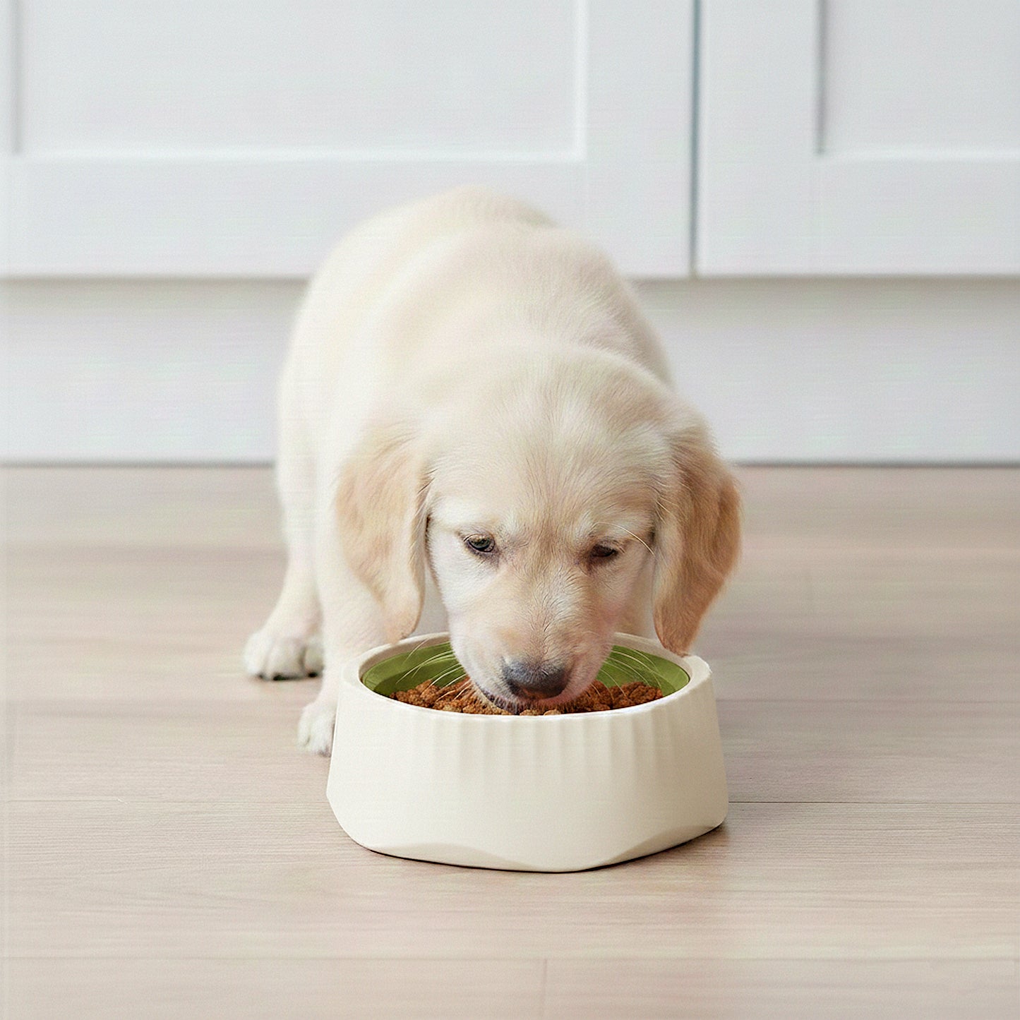 Pet Slow Feeder Bowl with Removable Insert, Non-Slip Base, Convertible Design