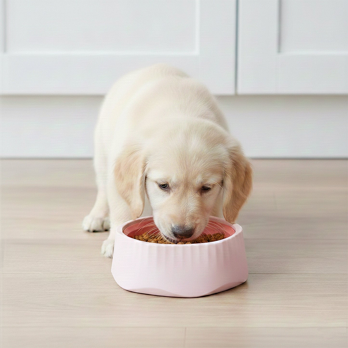 Pet Slow Feeder Bowl with Removable Insert, Non-Slip Base, Convertible Design