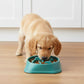 Slow Feeder Dog Bowl with Non-Slip Base Helps Reduce Fast Eating