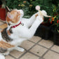 Interactive Feather Cat Toy Balls with Natural Feathers Bouncy Cat Toys for Indoor Cats 3 Pack