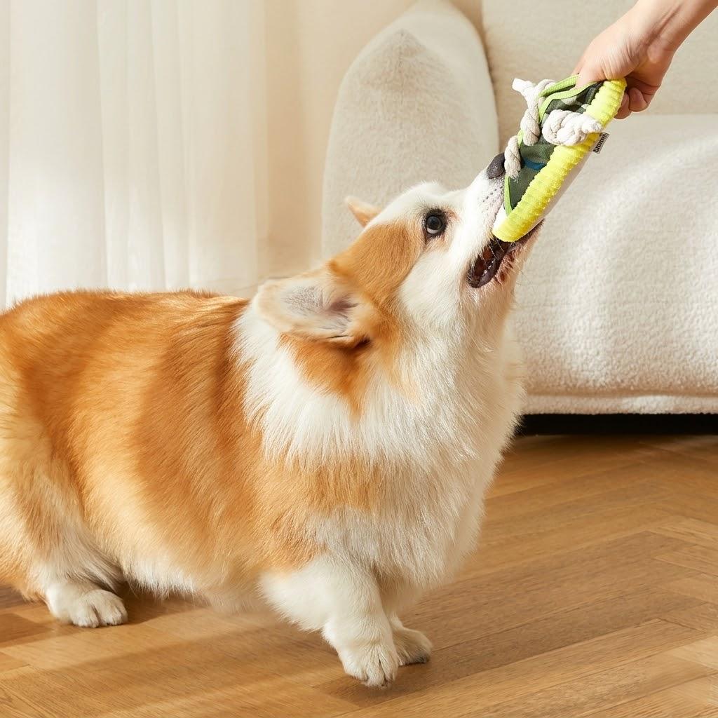 3 Pack Dog Rope Chew Toys with Squeaker Slipper Shape Durable Teeth Cleaning Tug Toys