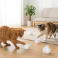 Cat Crinkle Ball Toy Pack of 12 Lightweight Interactive Sound Teaser for Indoor Play