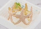Gold Textured Starfish Stretch Bangle Cuff Statement Bracelet