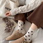 3-Pack Polka Dot Ankle Socks with Soft Knit Texture and Classic Dotted Design