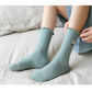 4 Pairs Ribbed Knit Socks with Daisy Embroidery Lettuce Edge Cuffs Soft Stretch Fabric
