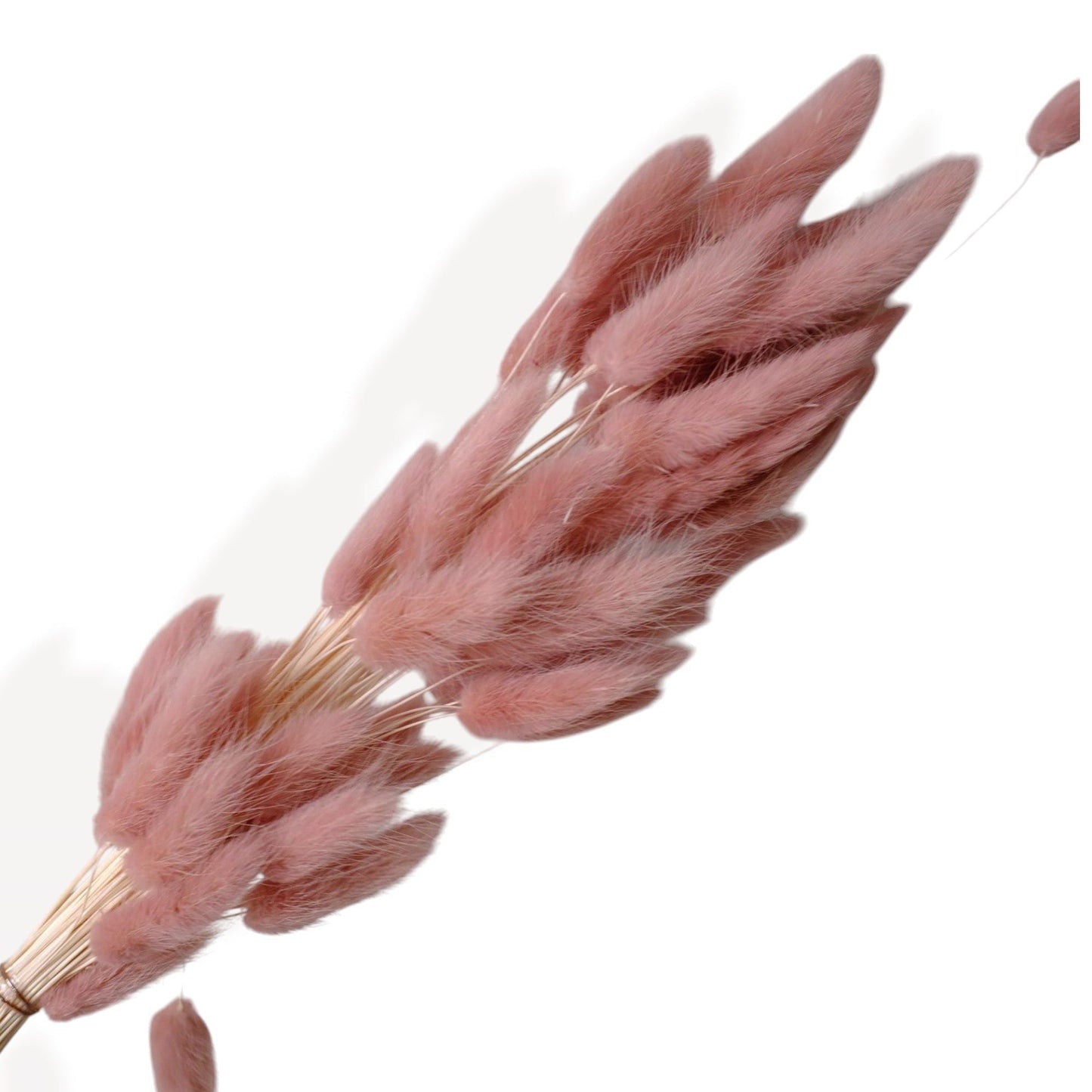 Autumn-Inspired Dried Flowers Floral Arrangement with Warm Hues, 17.8 Inches