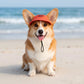Pet Visor Sun Hat with Open Ear Design Adjustable Chin Strap Lightweight Outdoor Cap for Cats and Dogs