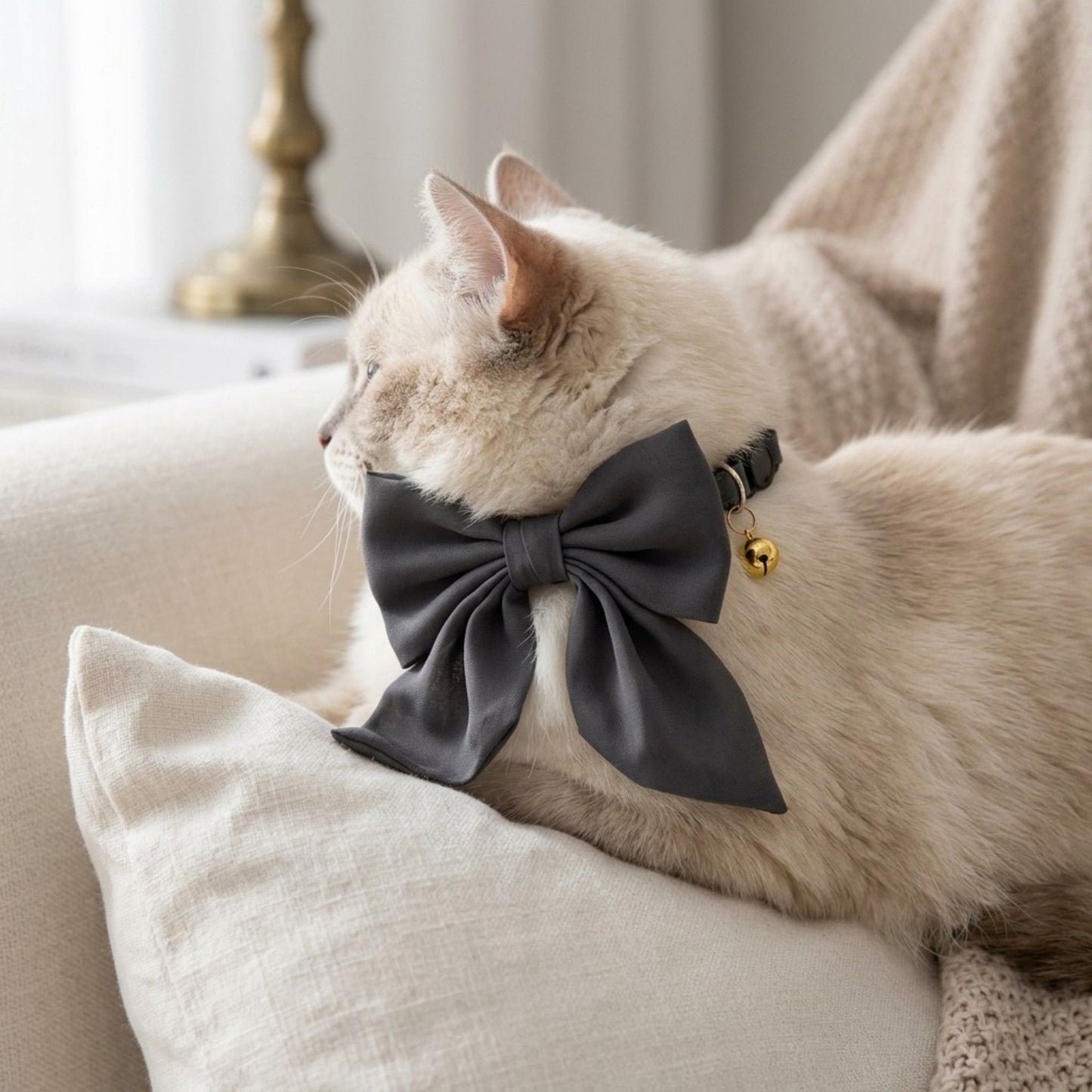 Pet Bow Collar Soft Adjustable Satin Bow Tie with Bell Detail Elegant Neck Accessory