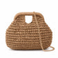 Small Woven Straw Handbag Chain Crossbody Bag with Top Handle and Flap Closure