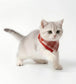 Pet Bandana Collar Soft Adjustable Double Layer Plaid Scarf with Button Closure for Cats and Dogs