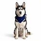 Red Plaid Pet Bandana Scarf Tie-On Triangle Neck Accessory Classic Buffalo Check