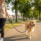 Pet Dog Leash Adjustable Nylon Rope with Comfortable Handle and Metal Clip for Small Medium Dogs