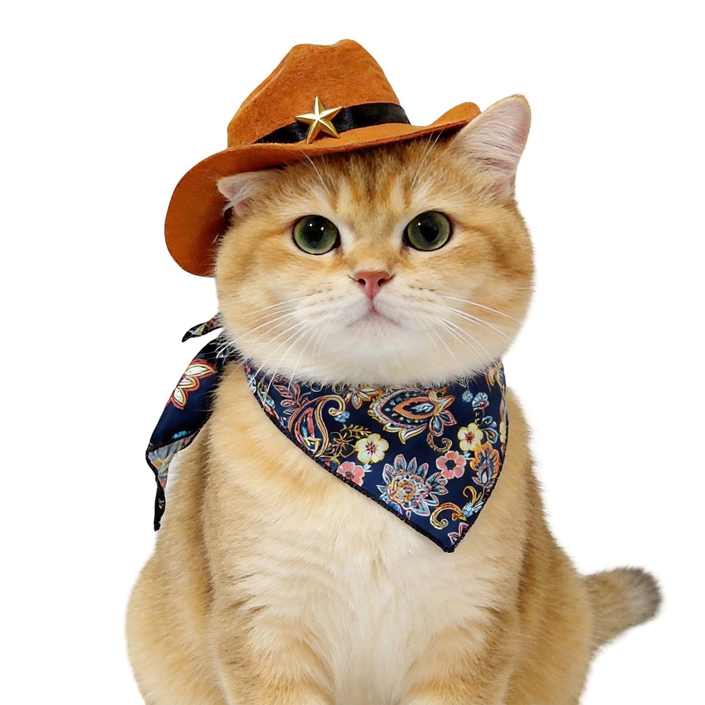 Pet Bandana Scarf Floral Pattern with Hat Accessory for Dogs and Cats