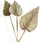 Elegant Dried Flowers Pampas and Eucalyptus Arrangement, 17.8 Inches
