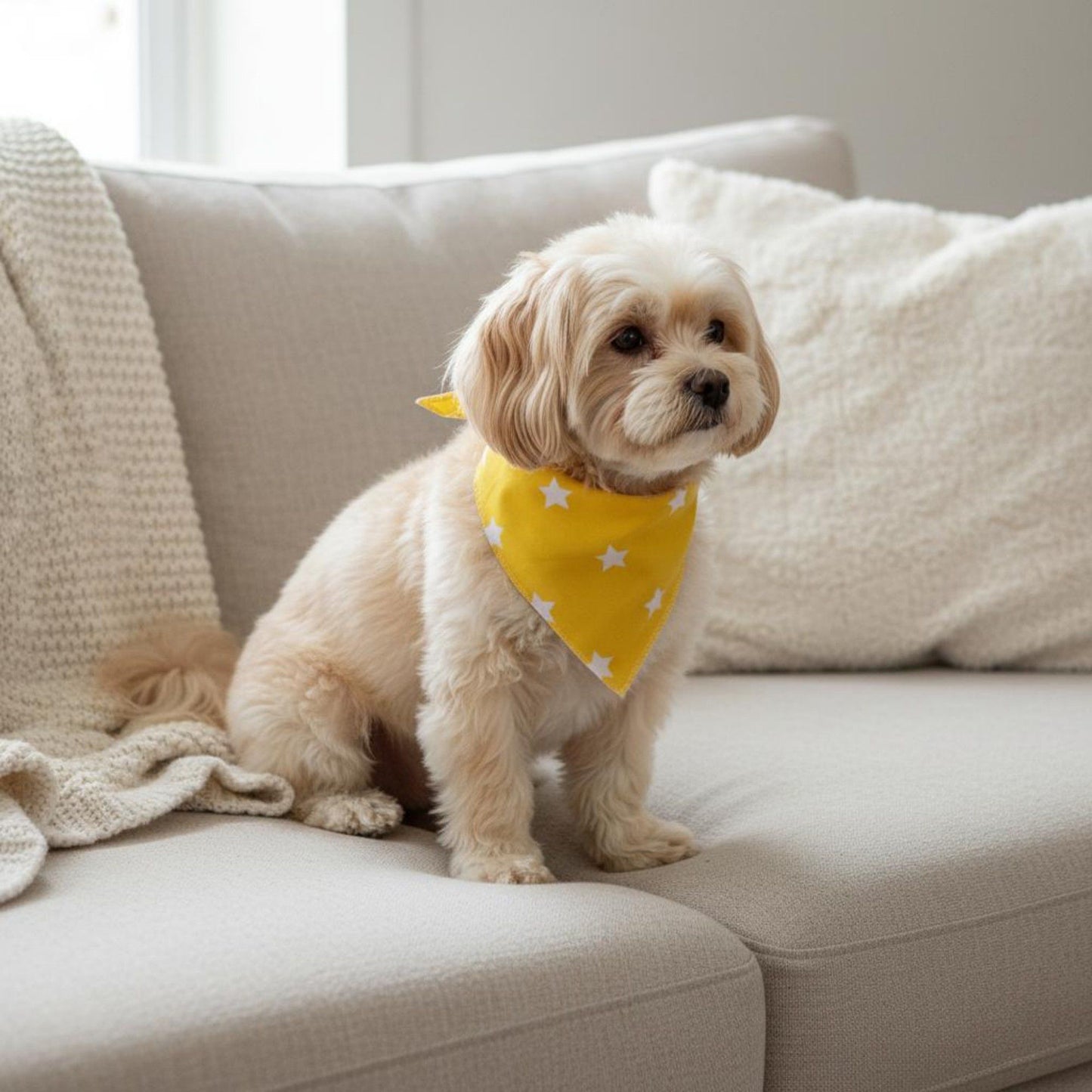 Dog Bandana Scarf Yellow with Black and White Pattern Pet Neck Accessory