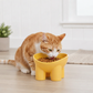 Elevated Tilted Cat Food Bowl with Raised Base for Comfortable Feeding