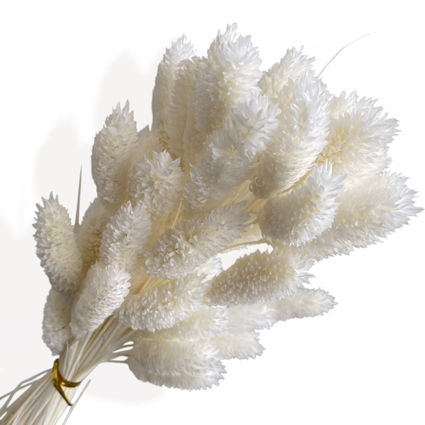 Dried Flowers Eucalyptus and Dried Floral Arrangement, 17.8 Inches