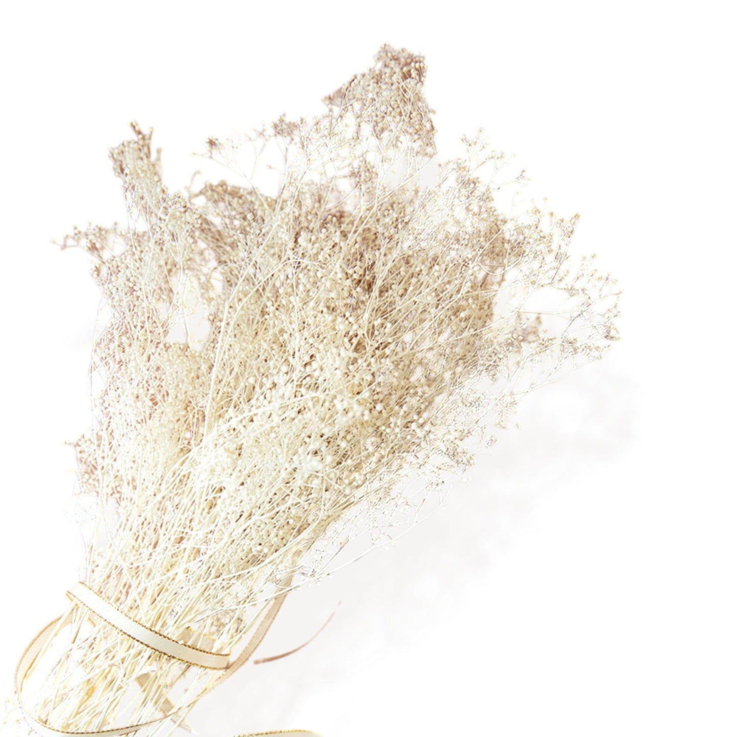 Elegant Dried Flowers Pampas and Eucalyptus Arrangement, 17.8 Inches