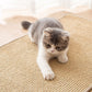 Cat Scratching Post Pad Sisal Mat Durable Furniture Protector for Cats Large Claw Resistance