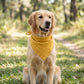 Pet Bandana Collar Soft Adjustable Classic Print Scarf with Tie Closure Everyday Neckwear