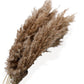 Pampas Grass Dried Floral Arrangement with Yellow Strawflower