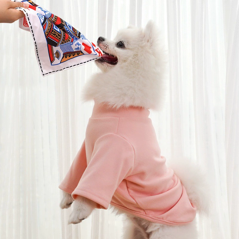Interactive Dog Squeaky Chew Toys for Boredom, Poker Cards Design, Fun Pet Toys