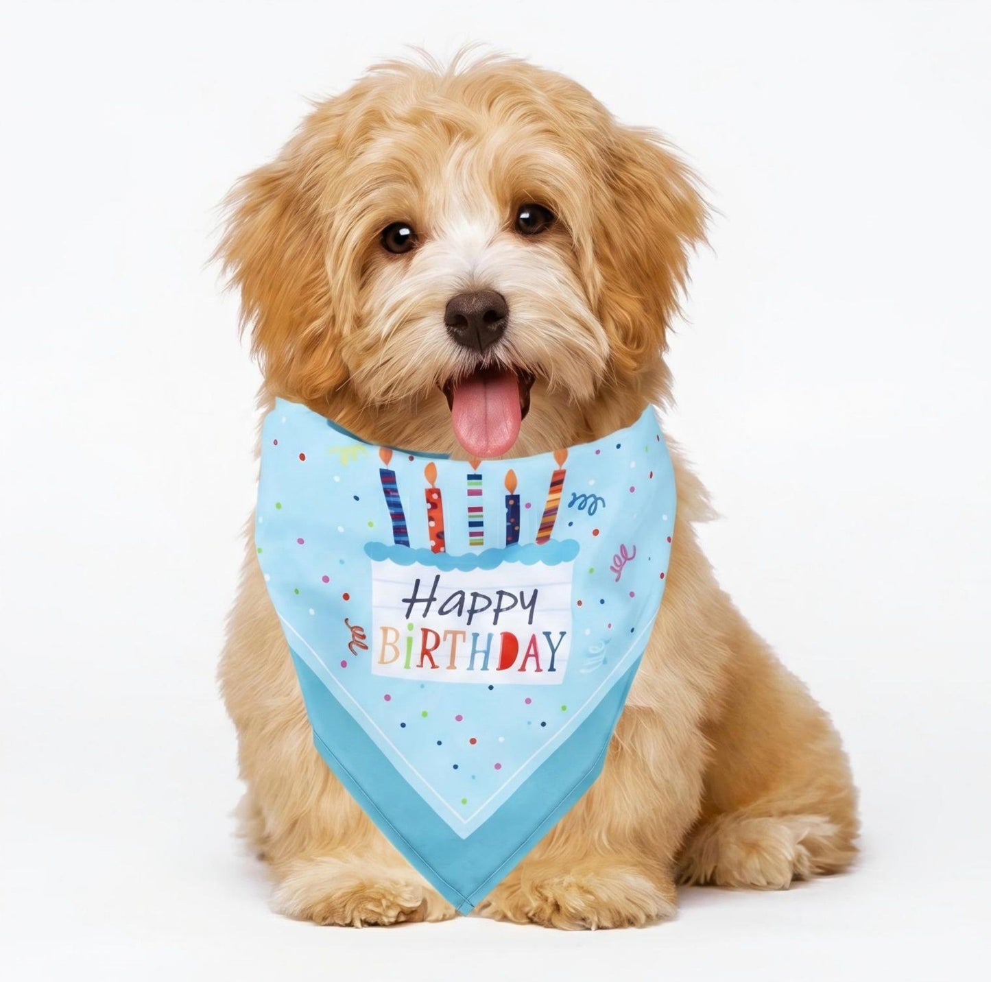 Pet Bandana Collar Soft Adjustable Birthday Print Scarf with Heart Pattern Tie Closure Neckwear