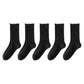 Ribbed Crew Socks with Ruffle Lettuce Trim Soft Stretch Knit Comfortable Everyday 5-Pack