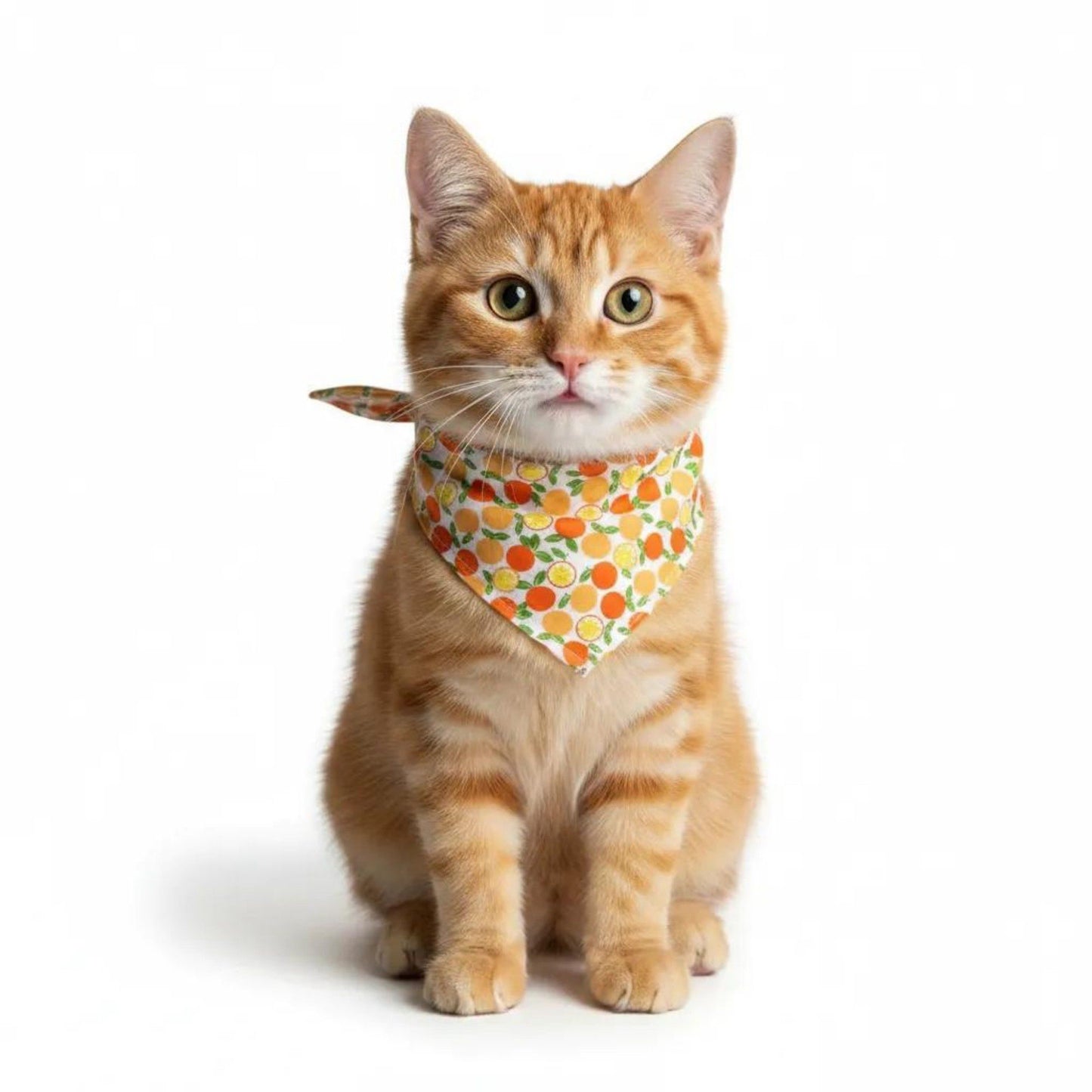Fruit Print Pet Bandana, Soft Cotton Citrus Pattern Scarf Bib for Small Medium Dogs Cats