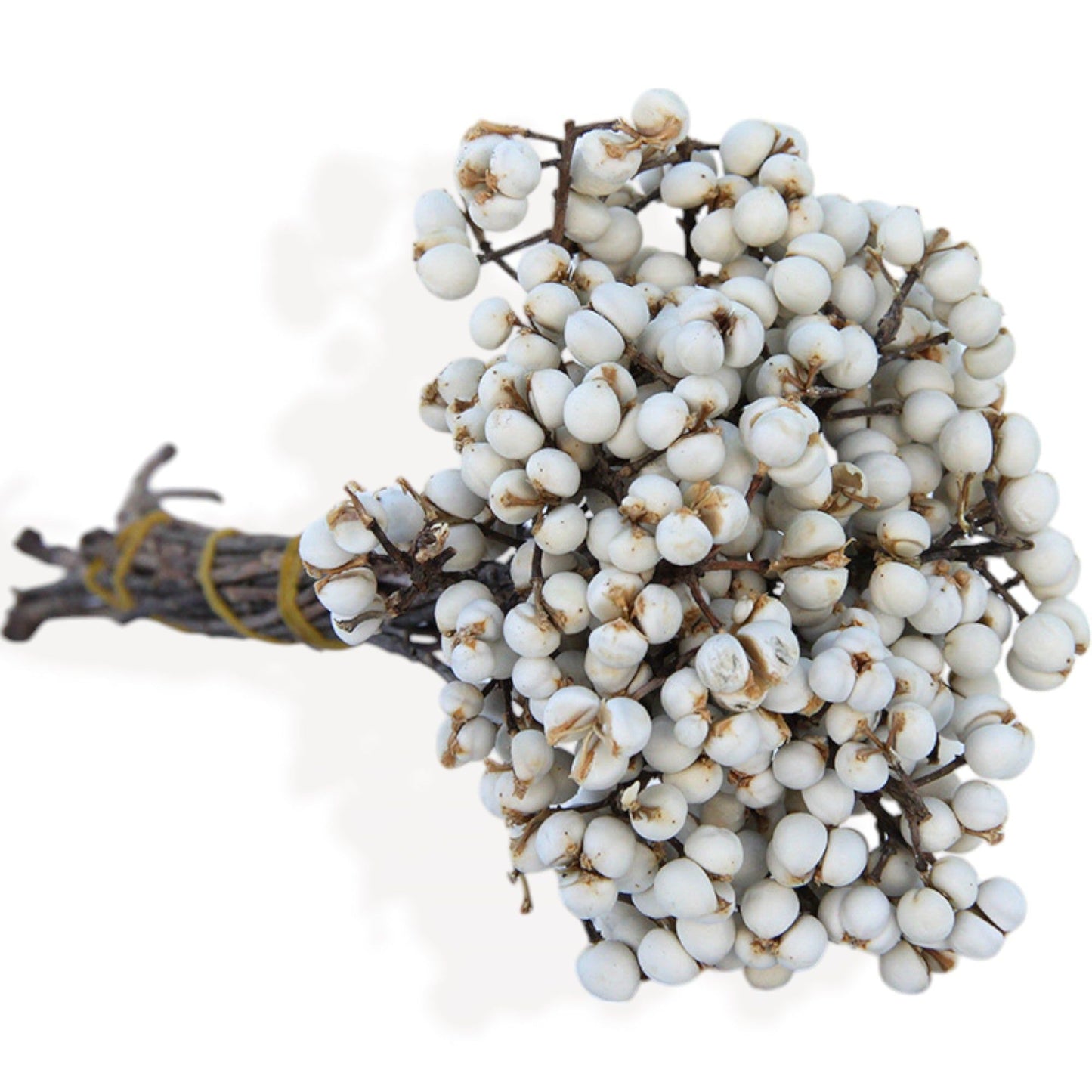 Dried Flowers Eucalyptus and Dried Floral Arrangement, 17.8 Inches