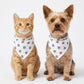 Pet Bandana Scarf Duck Pattern Decorative Neck Accessory for Dogs and Cats