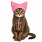 Cat Bathing Hood with Adjustable Drawstring Ear Cover