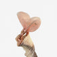 Sheer Organza Bow Hair Clip with Rhinestone Embellishments and Elegant Layered Design