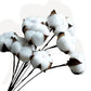 Cotton and Pampas Grass Dried Floral Arrangement