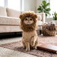Pet Lion Mane Costume with Faux Fur Hood and Ear Detail Soft Plush Dress Up Outfit for Cats and Dogs