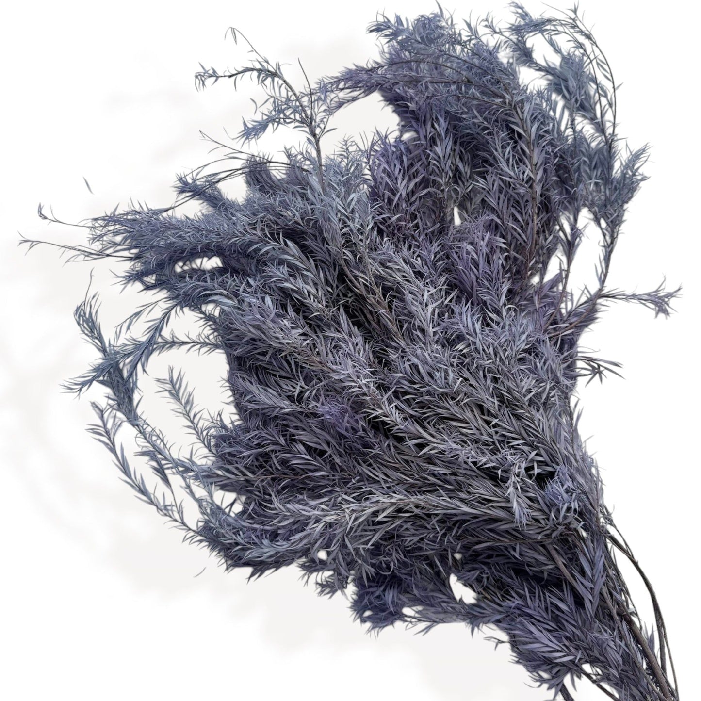 Dried Flowers Rosemary Branch Arrangement for Home Decor, 29.5 Inches