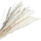 Pampas Grass and Cotton Dried Floral Arrangement with Wheat