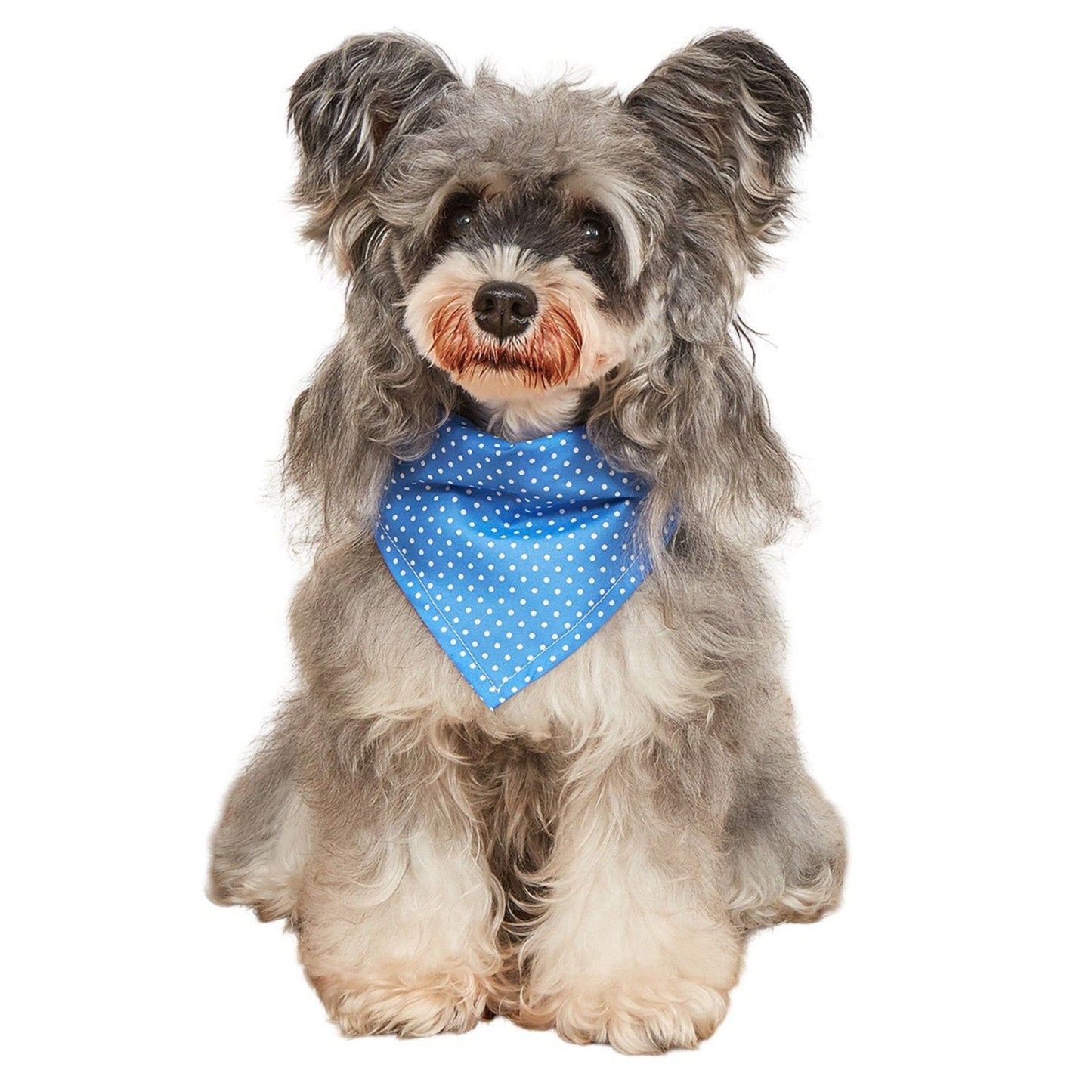 Polka Dot Pet Bandana, Soft Cotton Dotted Scarf Bib for Small Medium Dogs Cats