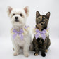 Pet Lace Collar with Bow Accent Decorative Neck Accessory for Dogs and Cats