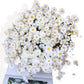 Elegant Dried Flowers Pampas and Eucalyptus Arrangement, 17.8 Inches