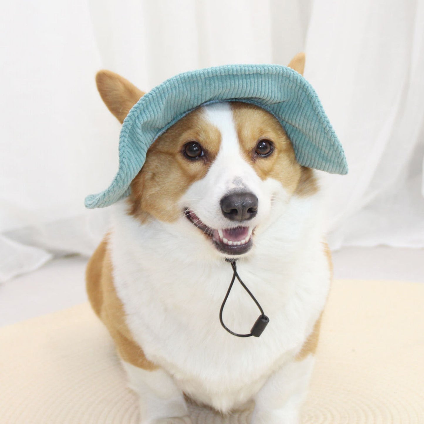 Pet Corduroy Sun Hat with Wide Brim Adjustable Chin Strap Soft Lightweight Outdoor Hat for Cats and Dogs