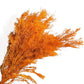 Dried Flowers Rosemary Branch Arrangement for Home Decor, 29.5 Inches