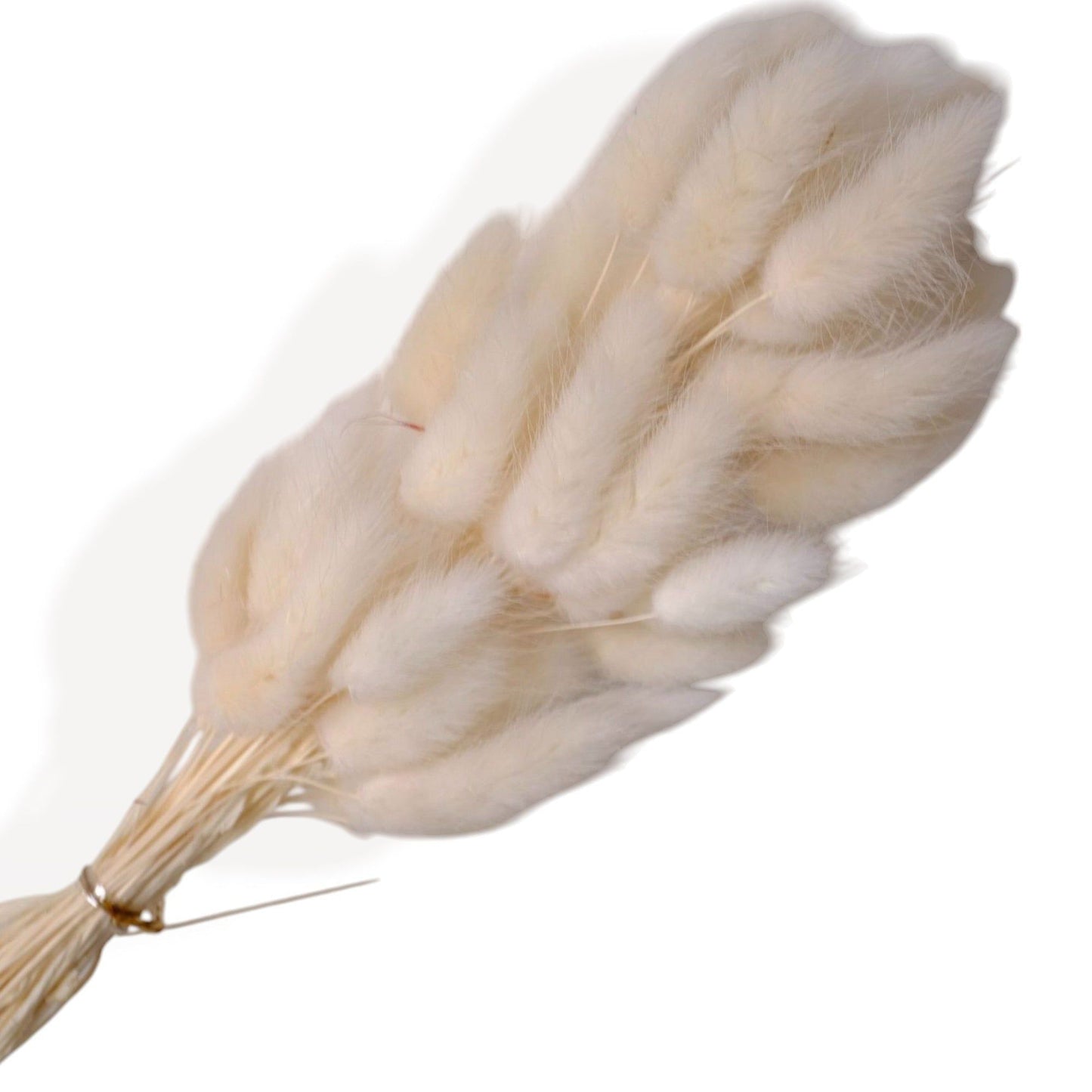 Autumn-Inspired Dried Flowers Floral Arrangement with Warm Hues, 17.8 Inches