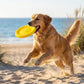 EVA Dog Toy Interactive Fetch Disc and Chew Ball Durable Play Toy for Dogs