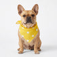 Dog Bandana Scarf Yellow with Black and White Pattern Pet Neck Accessory